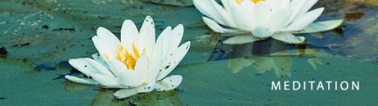 Meditation Header Lotus