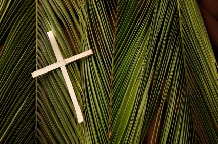 130134-425x282-Palm-and-Cross