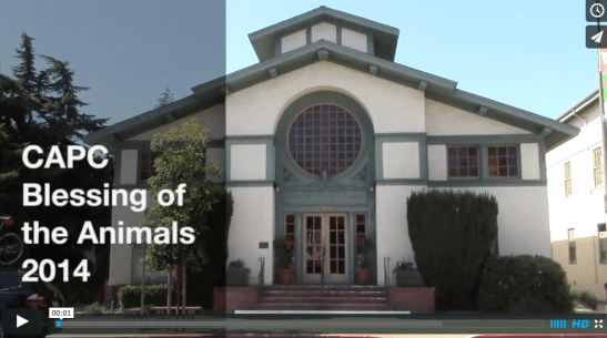 Blessing of the Animals Video Photo