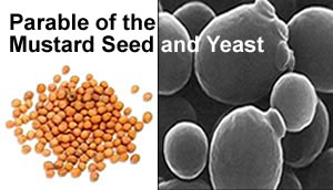 parable-of-mustard-and-yeast