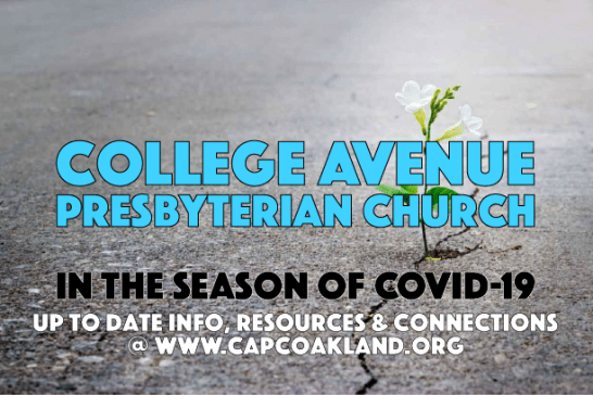 CAPC Covid19 Icon2.png